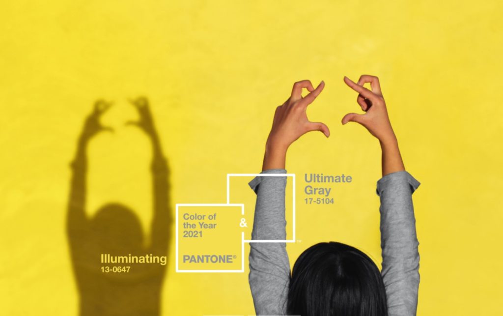 couleurs pantone 2021