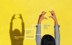 couleurs pantone 2021